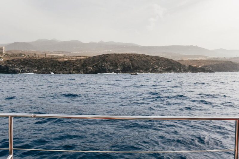 Costa Adeje: Whale & Dolphin Eco-Cruise with Snacks & Drinks - The Crew and Tour Language Options