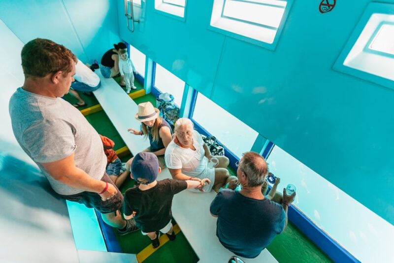 Costa Adeje: Whale & Dolphin Submarine Vision Mini Cruise - The Route Along Tenerife’s Southwest Coast