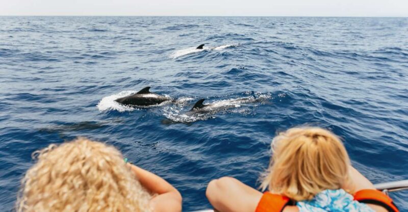 Costa Adeje: Whale Watching Catamaran Tour with Drinks - Costa Adeje: Whale Watching Catamaran Tour with Drinks