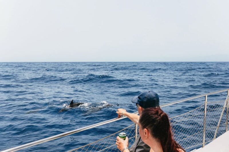 Costa Adeje: Whale Watching Catamaran Tour with Drinks - The Experience of Seeing Pilot Whales in Their Habitat