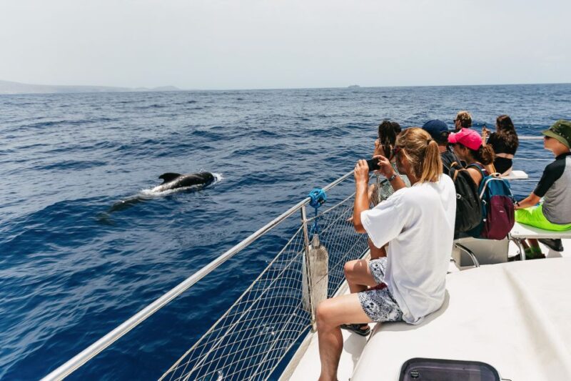 Costa Adeje: Whale Watching Catamaran Tour with Drinks - The Crew and Their Knowledgeable Approach to Marine Life