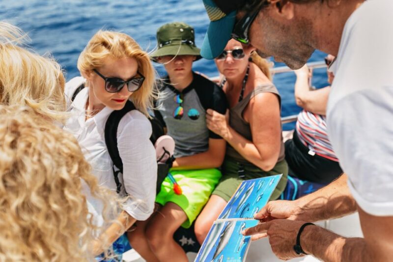 Costa Adeje: Whale Watching Catamaran Tour with Drinks - Accessibility and Practical Tips for the Trip