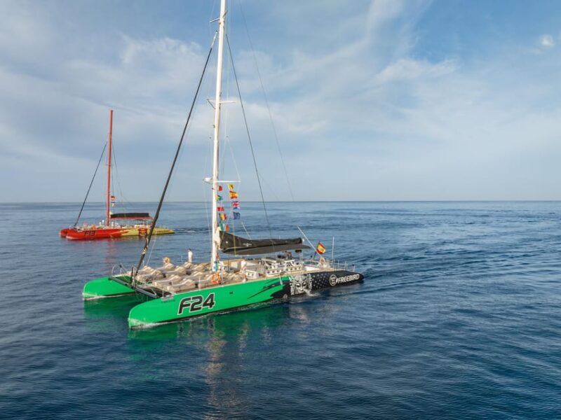 Costa Adeje: Whale Watching Cruise with Snack and Drinks - Key Points