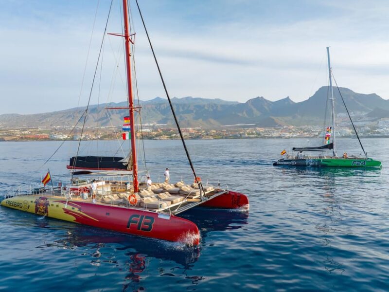 Costa Adeje: Whale Watching Cruise with Snack and Drinks - The Catamaran Experience: Comfort and Views