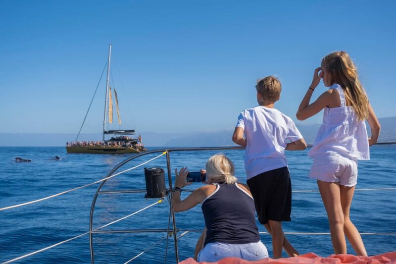 Costa Adeje: Whale Watching Cruise with Snack and Drinks - Swimming and Sunbathing Opportunities on the Water