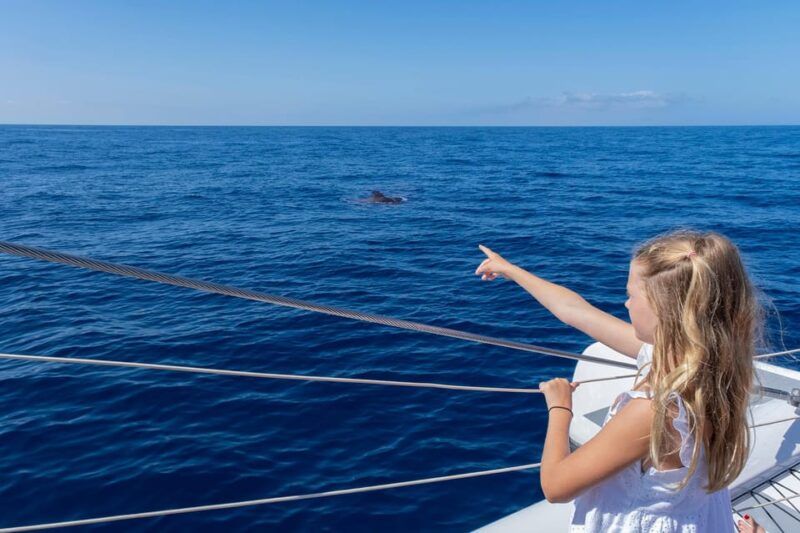Costa Adeje: Whale Watching Cruise with Snack and Drinks - Suitable for Different Types of Travelers