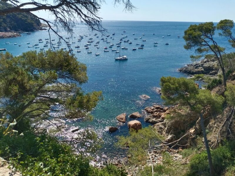 Costa Brava and Medieval Villages Full Day Tour - Coastal Walk Along the Camí de Ronda to Llafranc