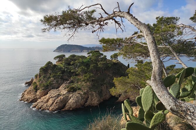 Costa Brava Coast Hike and Snorkel from Barcelona with Lunch - Discovering Iberian Ruins and Local History