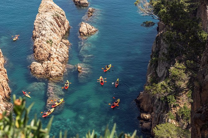 Costa Brava Day Adventure: Kayak, Snorkel & Cliff Jump with Lunch - Key Points