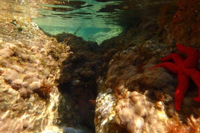 Costa Brava Day Adventure: Kayak, Snorkel & Cliff Jump with Lunch - Relaxing Beach Lunch and Free Time at SAgaró