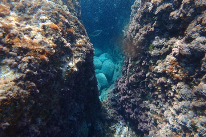 Costa Brava Day Adventure: Kayak, Snorkel & Cliff Jump with Lunch - The Role of Guides in Ensuring a Memorable Experience