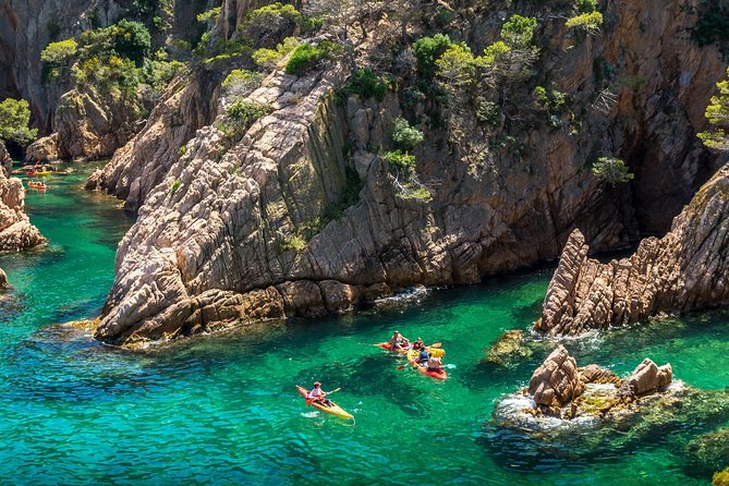 Costa Brava Day Adventure: Kayak, Snorkel & Cliff Jump with Lunch - Logistics, Group Size, and Booking Tips