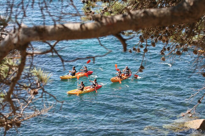 Costa Brava Guided Kayak and Snorkeling Excursion in Playa de Aro - The Itinerary: From Kayak Paddling to Marine Exploration