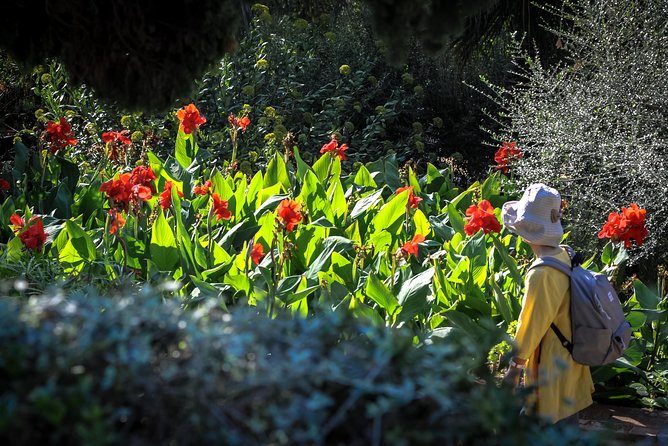 Costa Brava & Medieval Village Small Group Tour Including Lunch - Discovering Tossa de Mar’s Medieval Walls and Lighthouse