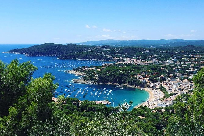 Costa Brava Private Experience by Car with local expertise - Pricing and Booking Considerations