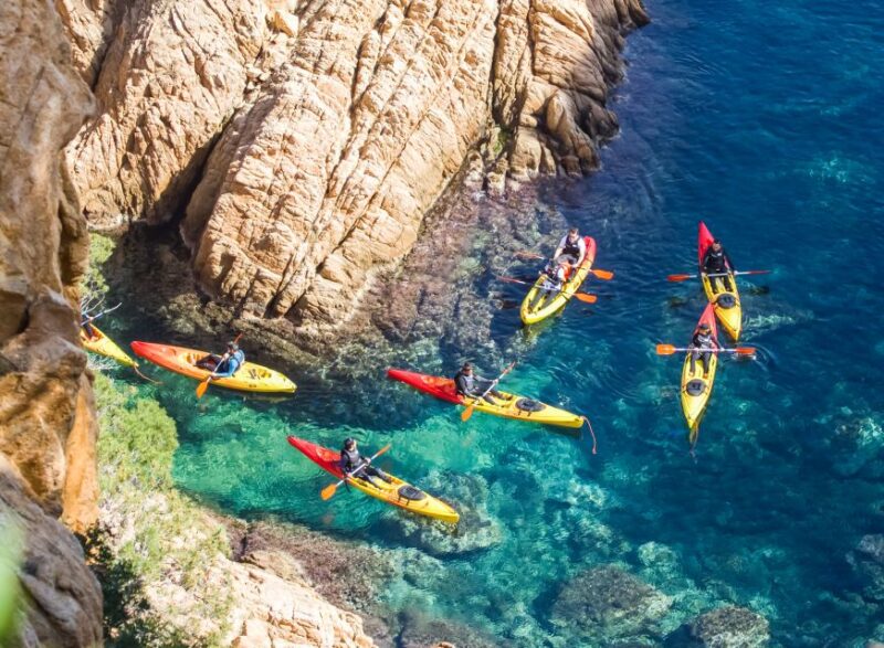 Costa Brava: Sea Caves Kayaking and Snorkeling Tour - The Role of Guides in Enhancing the Experience