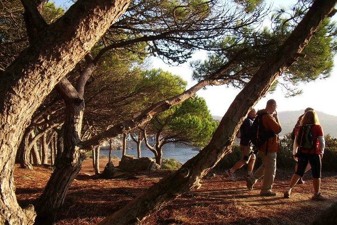 Costa Brava Small Group Hiking Tour from Barcelona - Return to Barcelona in the Evening