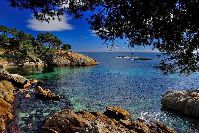 Costa Brava Small Group with Hotel Pick up and Boat Ride - Practicalities: Transport, Group Size, and Inclusions