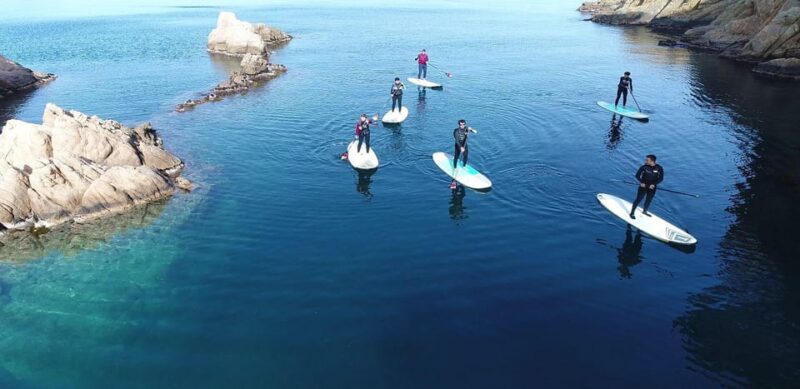 Costa Brava: Stand-Up Paddleboarding Lesson and Tour - What Makes This Tour Stand Out