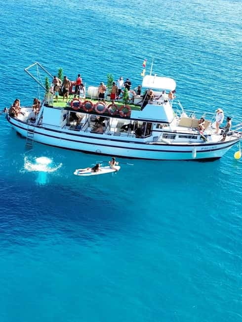 Costa Calma: Fuerteventura Dolphin Watching Boat Tour - Discover the Best Dolphin Watching Experience in Fuerteventura