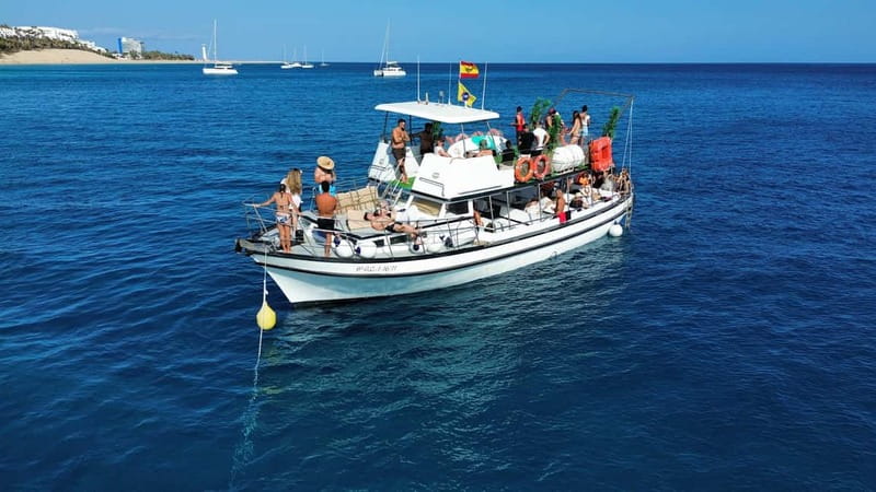 Costa Calma: Fuerteventura Dolphin Watching Boat Tour - Wildlife Spotting: Dolphins, Whales, and More