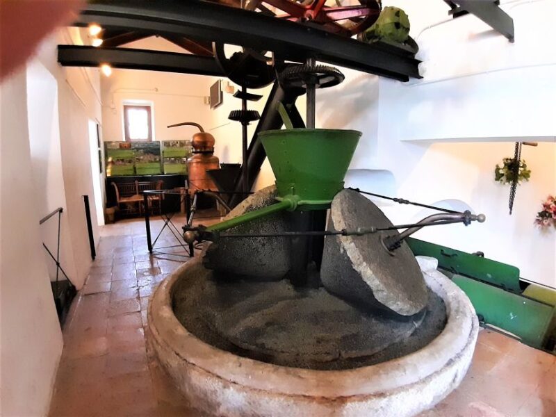 Costa del Sol: Private Tour to Ojen - Visiting the Old Oil Mill and Brandy Museum