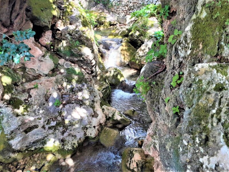 Costa del Sol: Private Tour to Ojen - Return Trip and Drop-Off