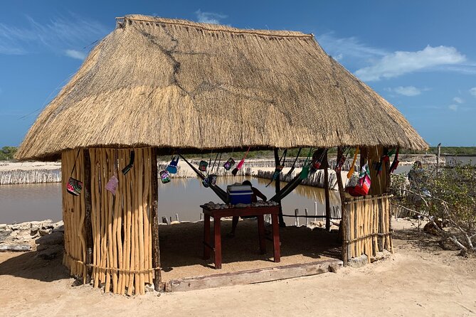 Costa Esmeralda 5 en 1 - Explore Progreso’s Cultural and Natural Attractions on the Costa Esmeralda 5 en 1 Tour