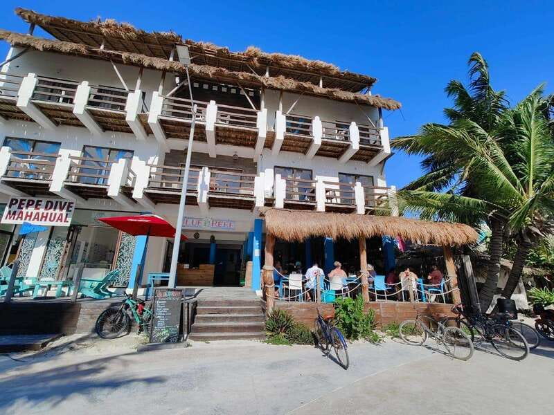 Costa maya :Beach Club Experience + relaxing massage - Group Size, Languages, and Booking Flexibility