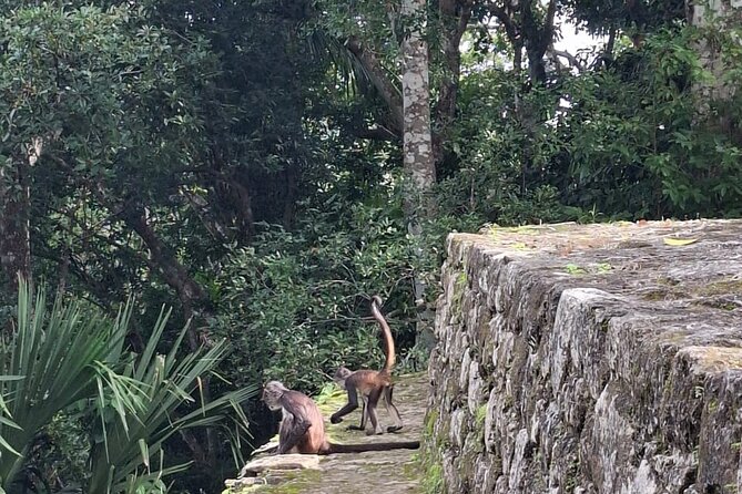 Costa Maya Chacchoben Ruins and the Fruit Market - Value and Cost Considerations