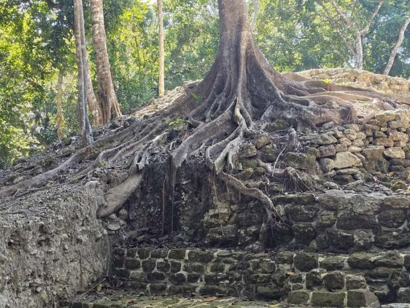 Costa Maya: Chacchoben ruins exclusive tour - Comparing This Tour to Similar Options