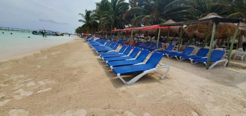 Costa Maya: Chacchoben Ruins Shore Excursion & Fruit Tasting - Physical Requirements and Accessibility