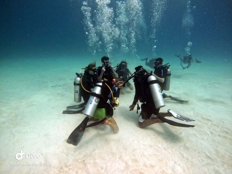 Costa Maya: Discover Scuba Diving Reef Experience - Who Is This Tour Best Suited For?