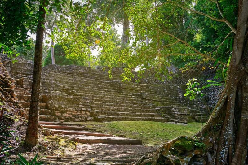 Costa Maya: Exclusive Chacchoben Ruins Premier Tour - Comfortable and Convenient Transfers