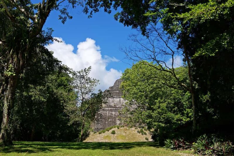 Costa Maya: Exclusive Dzibanche Ruins Premier Tour - Exploring Dzibanche’s Key Structures and Temples