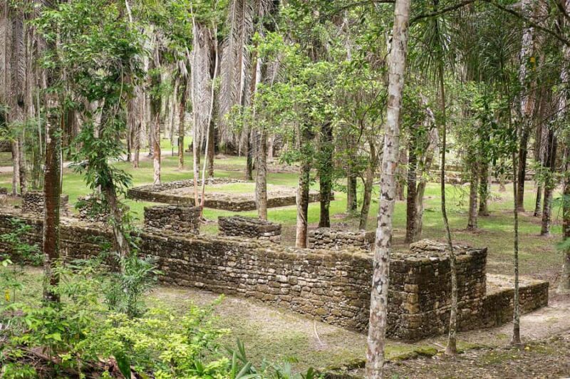 Costa Maya: Exclusive Kohunlich Ruins Premier Tour - Starting Point and Logistics at Costa Maya