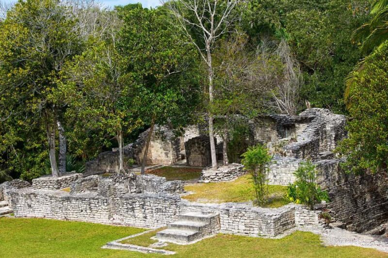Costa Maya: Exclusive Kohunlich Ruins Premier Tour - The Acropolis and Its Pyramids