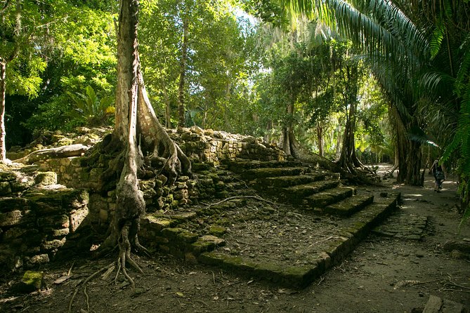 Costa Maya Shore Excursion: Chacchoben Day Trip - Explore the Mysteries of Chacchoben on a Costa Maya Shore Excursion