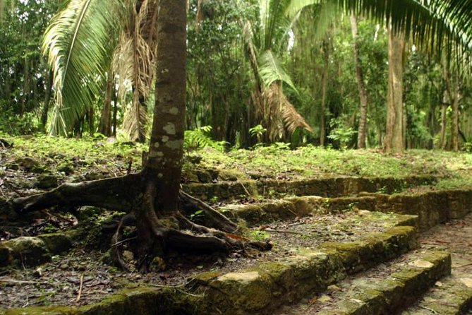 Costa Maya Shore Excursion: Chacchoben Day Trip - Comfortable Transportation for the Journey to Chacchoben