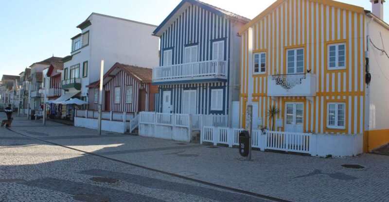 Costa Nova and Barra Beach Tour - Navigating the Itinerary: From Aveiros Salt Flats to Famous Beaches