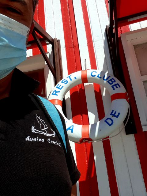 Costa Nova Tour Color "Stripe Houses" - Key Points