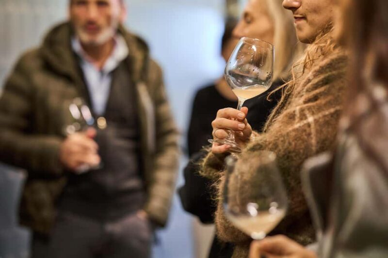 Costigliole d'Asti: Cellar tour and tasting - Walking Through the Vineyards of Costigliole dAsti
