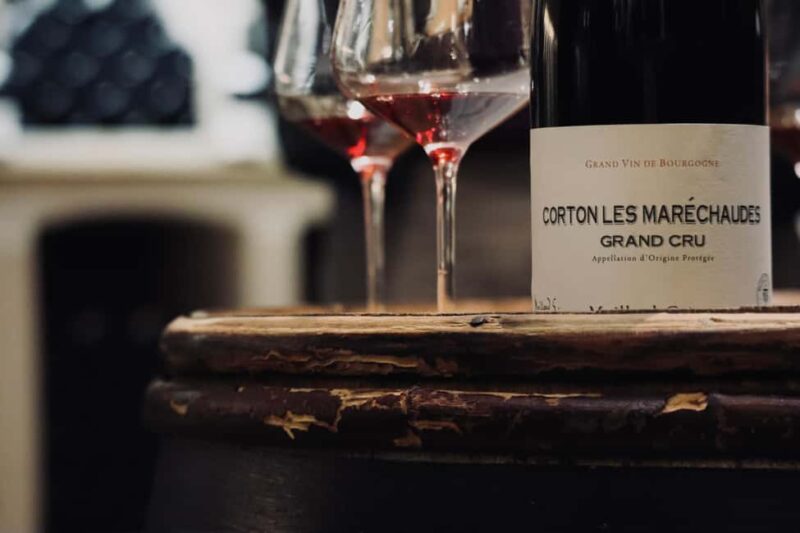 Côte de Beaune and Côte de Nuits : Private Full day Winetour - Final Thoughts on the Côte de Beaune and Côte de Nuits Tour