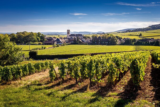 Côte de Beaune Half-Day Wine Tour from Dijon - The Guide and Customer Experience