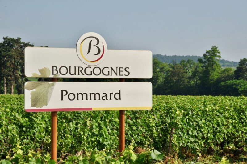 Côte de Beaune Private Local Wineries and Wine Tasting Tour - The Start: Hotel Pickup and Scenic Route through Pommard and Volnay