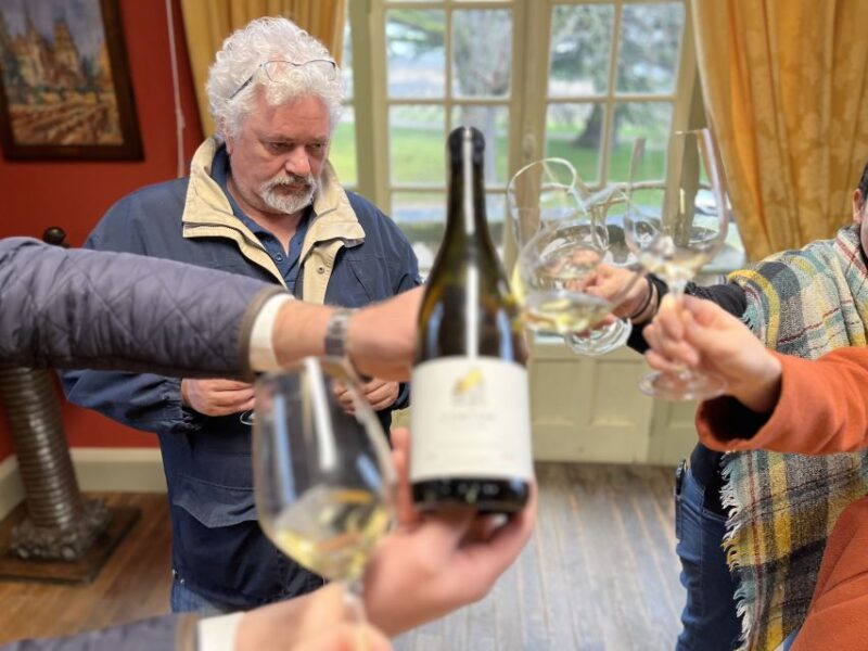 Côte de Beaune Private Local Wineries and Wine Tasting Tour - Logistics and Group Experience: Private and Flexible