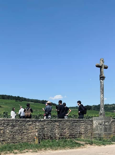 Côte de Nuits: Excursion in the heart of the vineyards - Key Points