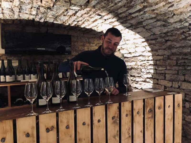 Côte de Nuits: Excursion in the heart of the vineyards - Walking Tour Through the Côte de Nuits Vineyards