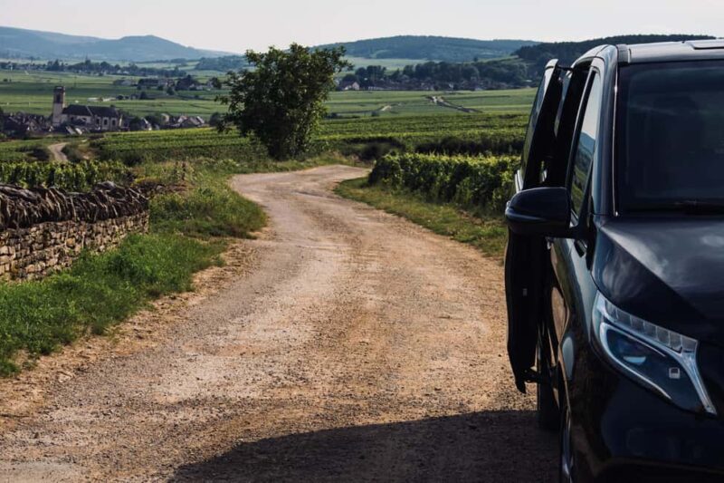 Côte de Nuits: Excursion in the heart of the vineyards - The Guide’s Role and Interpretations
