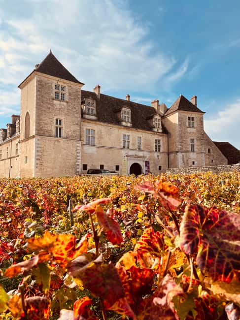 Côte de Nuits: Excursion in the heart of the vineyards - Price and Overall Value